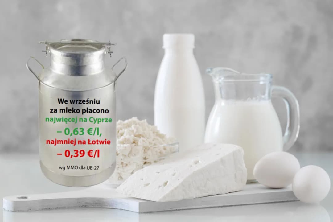 Ile kosztuje litr mleka koziego w skupie? Zaskakujące ceny i zmiany
