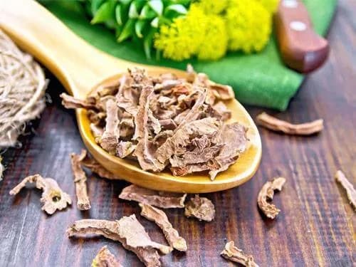 Różeniec górski jaki wybrać – opinie użytkowników i porady ekspertów