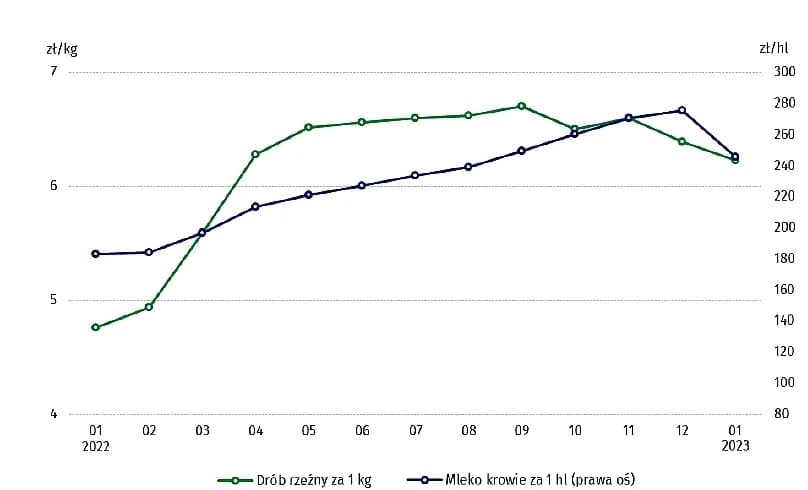 Ile kosztuje litr mleka w skupie? Zaskakujące ceny w Polsce!