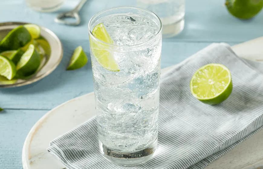 Jaki saturator wybrać, aby cieszyć się idealnie gazowaną wodą?